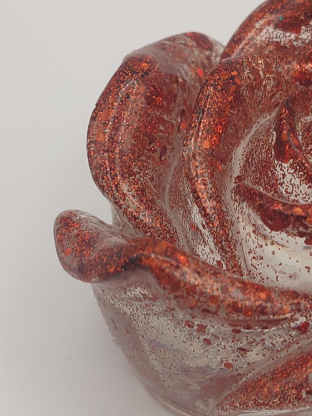 Rose Floréa